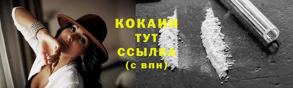 соль ск Алзамай