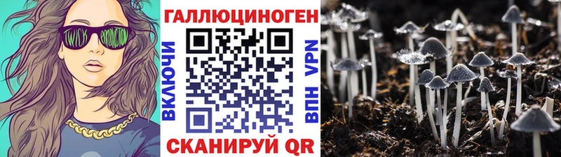 блэк спрут как зайти  Нестеров  Псилоцибиновые грибы MAGIC MUSHROOMS 